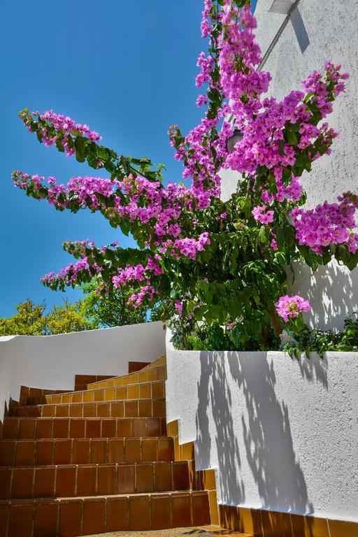 Bella Vista Apartments Crikvenica Eksteriør billede
